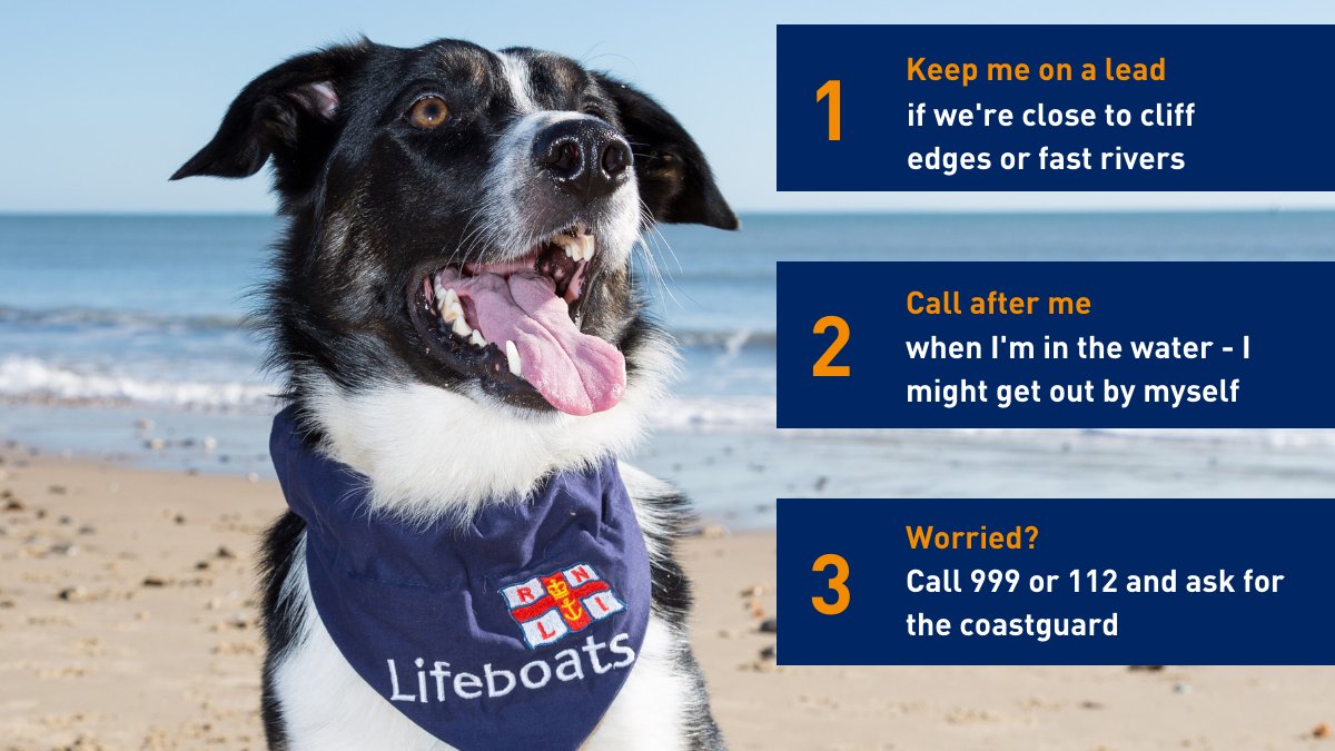Exmouth RNLI called to assist dog in River Exe