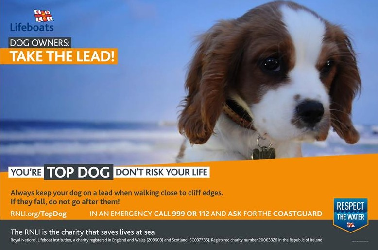 Exmouth RNLI assist with fallen dog